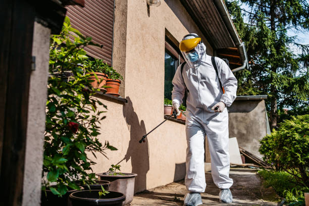 Best Affordable Pest Control Services  in Sistersville, WV