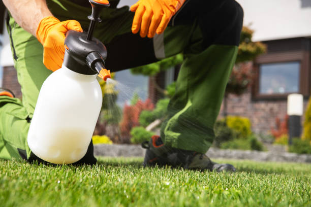 Best Pest Control for Businesses  in Sistersville, WV
