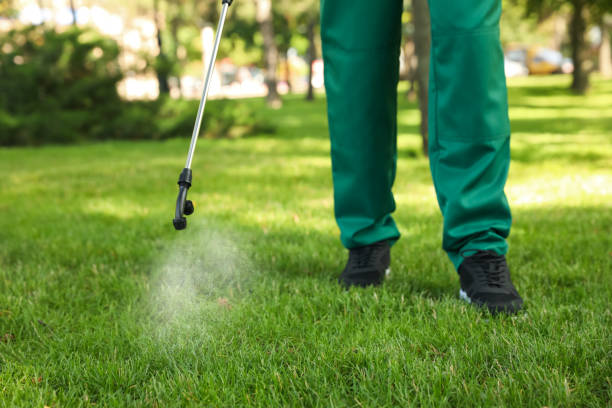 Best Best Pest Control Companies  in Sistersville, WV