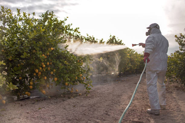 Best Exterminator Services  in Sistersville, WV