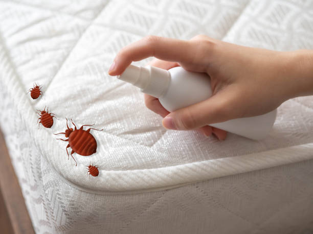 Best Bed Bug Extermination  in Sistersville, WV