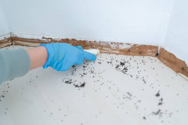 Best Wildlife Control Services  in Sistersville, WV